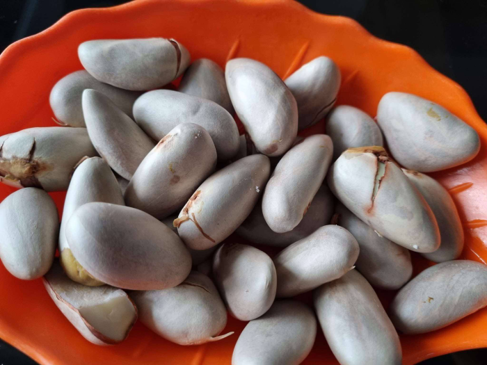 Hạt mít - ‘liều thuốc thử’ cho hệ tiêu hóa, ai nên tránh ăn?
