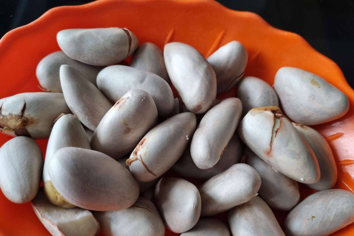 Hạt mít - ‘liều thuốc thử’ cho hệ tiêu hóa, ai nên tránh ăn?