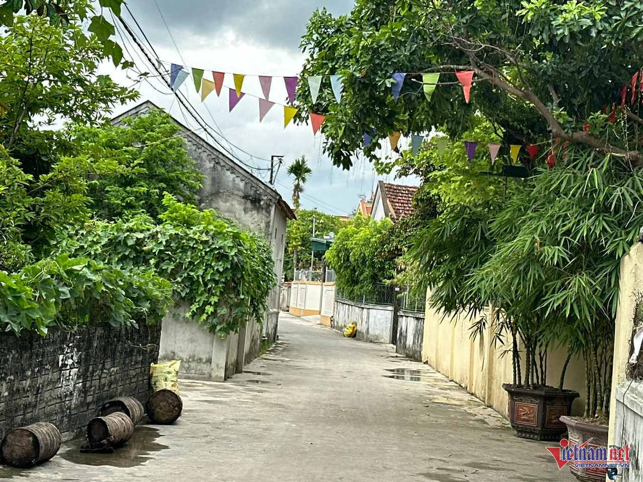 W-hoabinh12.jpg