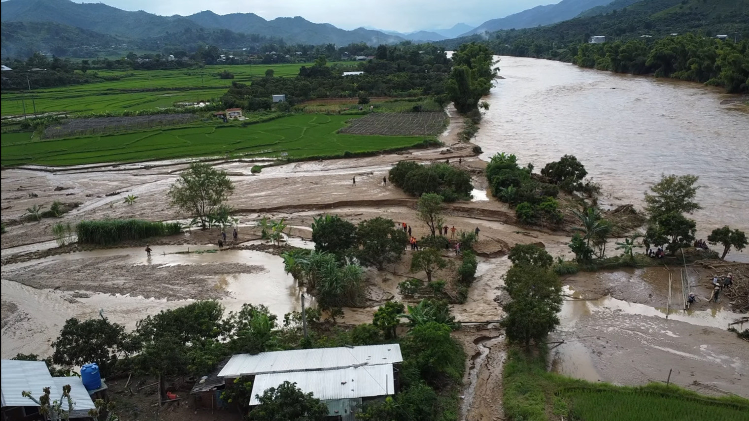 77FB00C1 52BF 4354 94E5 3B3C91DF298D.jpeg