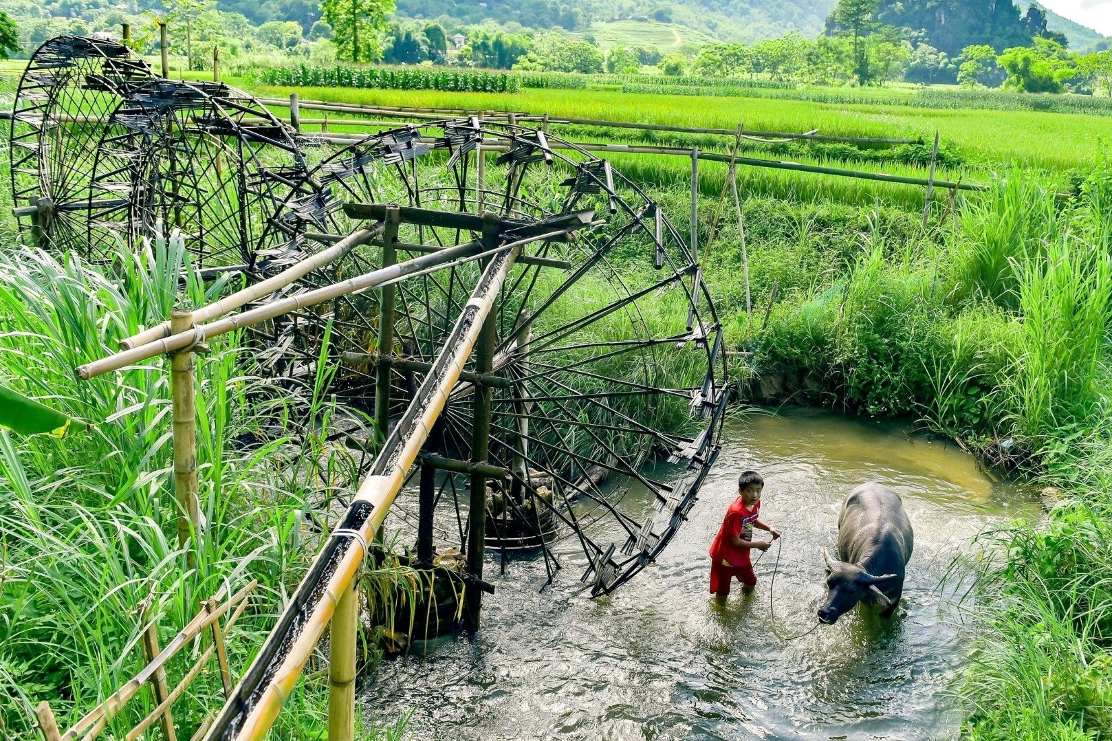 Guồng nước 'công trình thủy lợi' của người dân vùng cao xứ Thanh