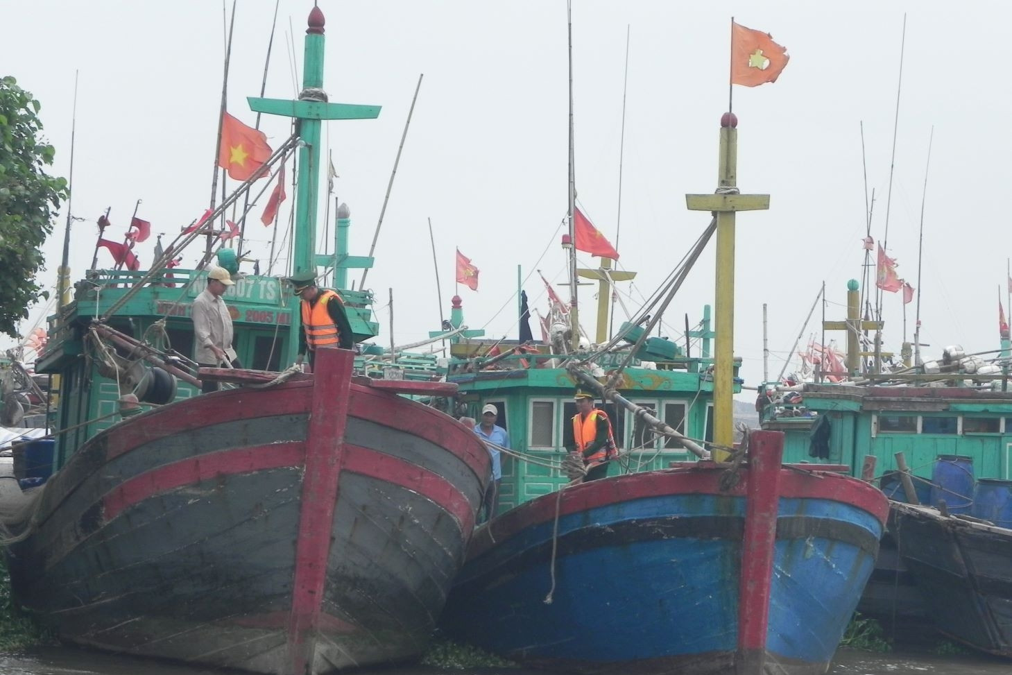 Ninh Bình phát triển ngành thủy sản bền vững, hiện đại