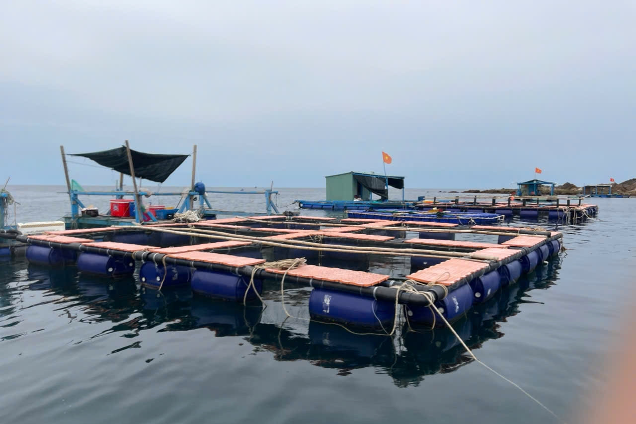 Nuôi biển công nghệ cao đưa kinh tế biển Khánh Hòa bứt phá