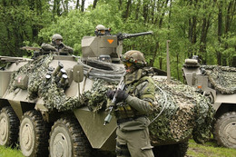 Thêm một nước muốn gia nhập NATO sau hàng thập kỷ giữ thế trung lập