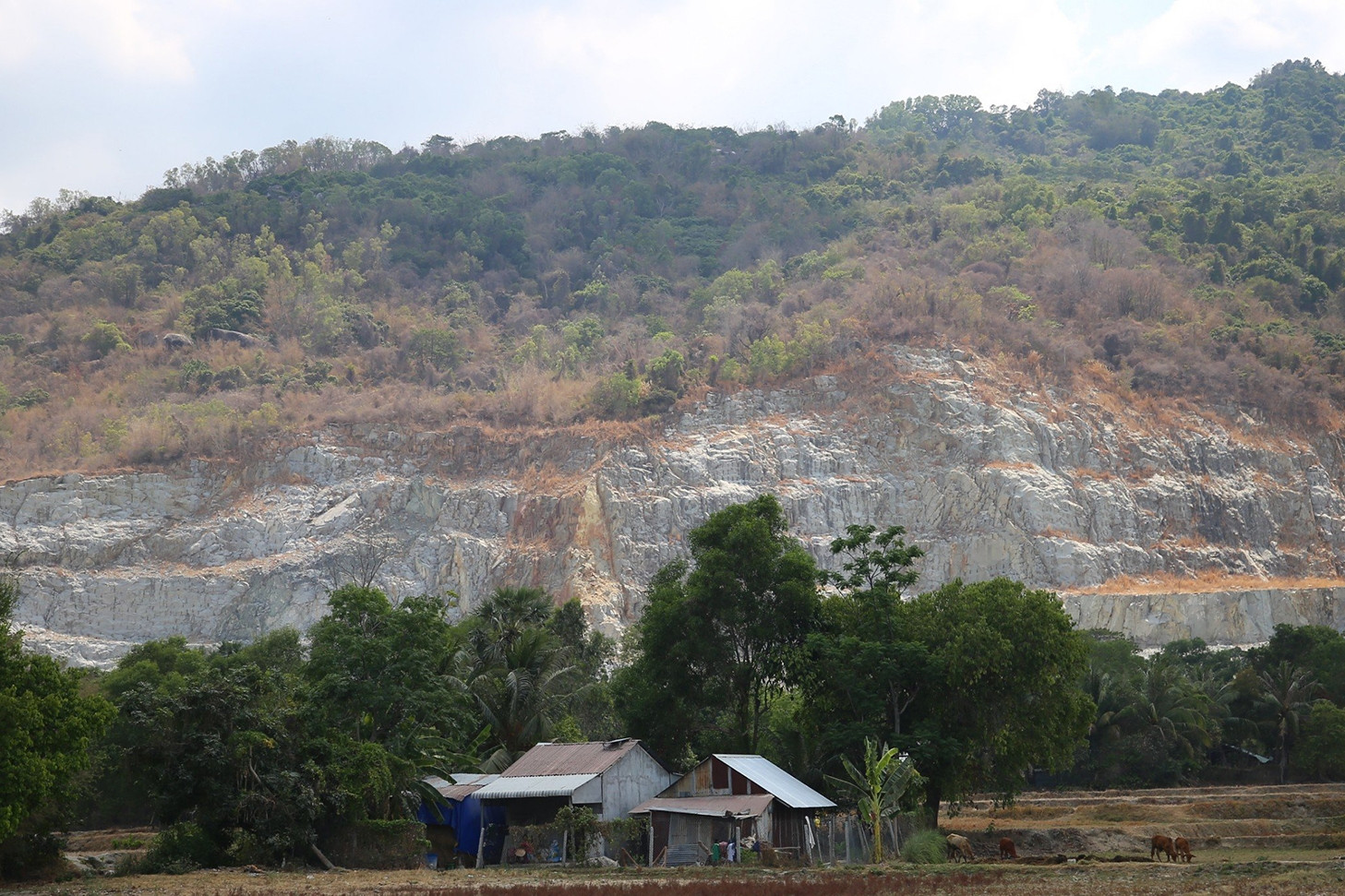 An Giang chuyển điều tra 5 vụ có dấu hiệu tiêu cực, tham nhũng, sai phạm gần 110 tỷ đồng