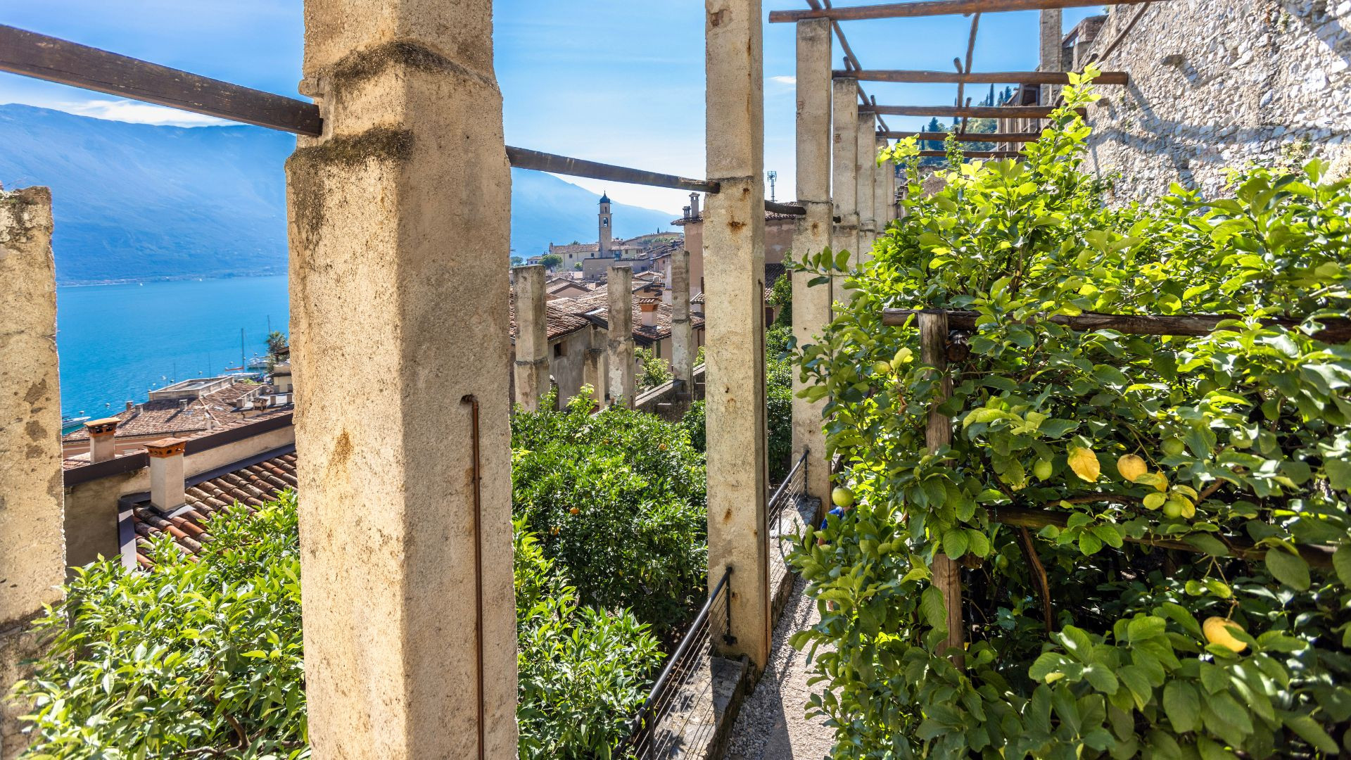 limonaia del castel 23.jpg