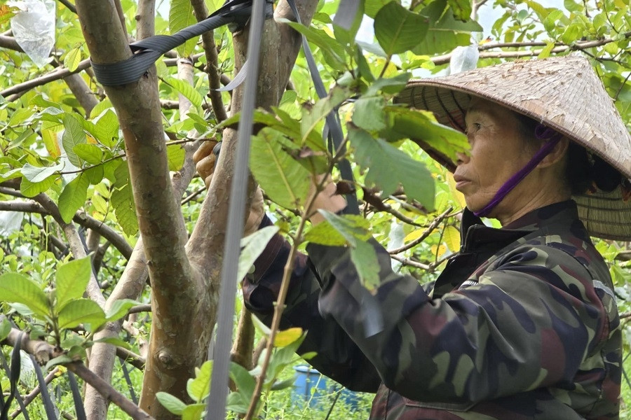 Phong Hiệp: Nỗ lực giữ vững và nâng cao chất lượng tiêu chí nông thôn mới