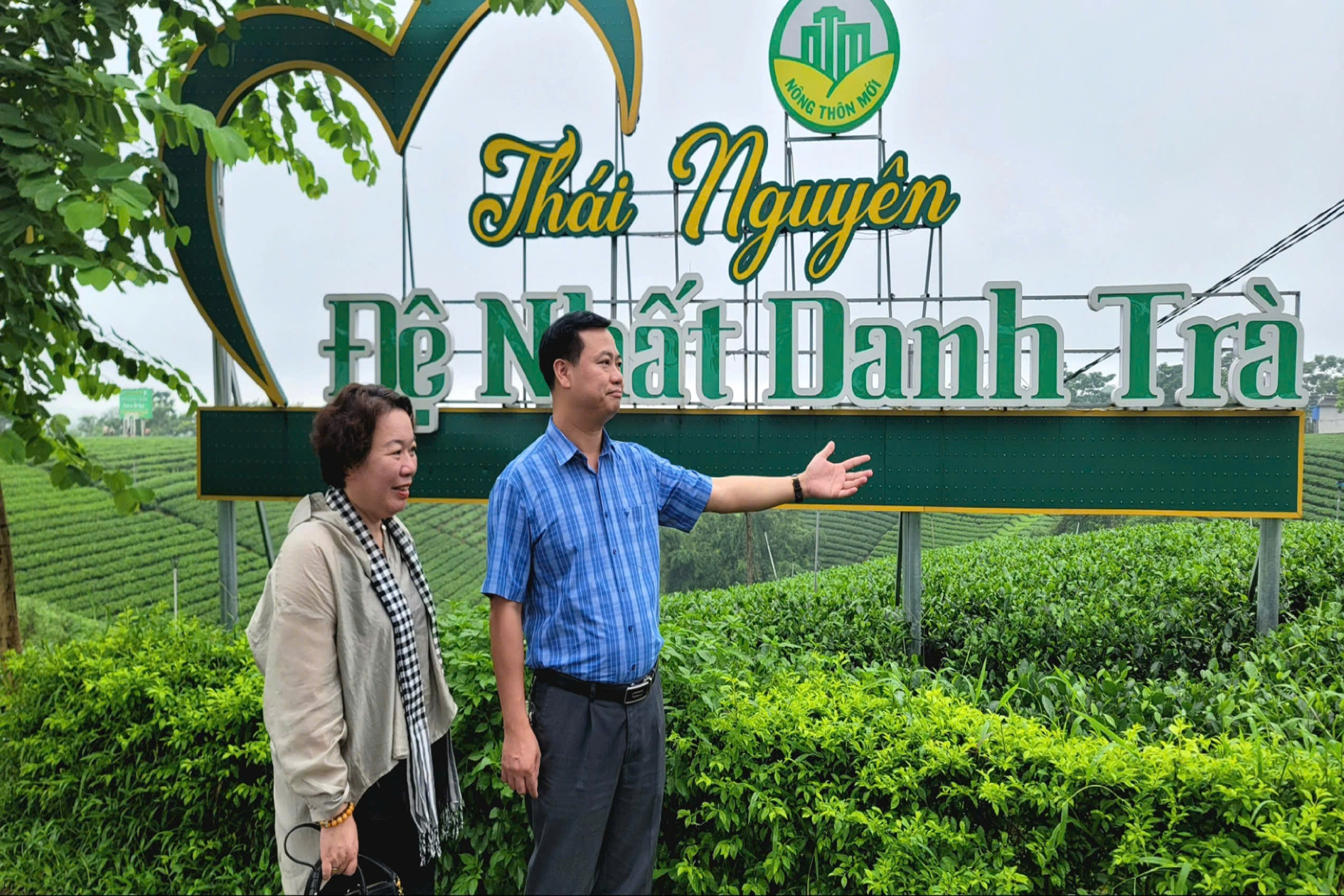 Thái Nguyên tham vọng đưa chè từ “cây thoát nghèo” thành “cây làm giàu”