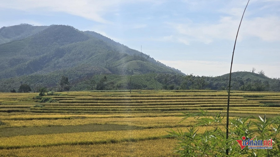 W-04f8f86b 5572 4769 96c7 b21e469f3f13.jpg