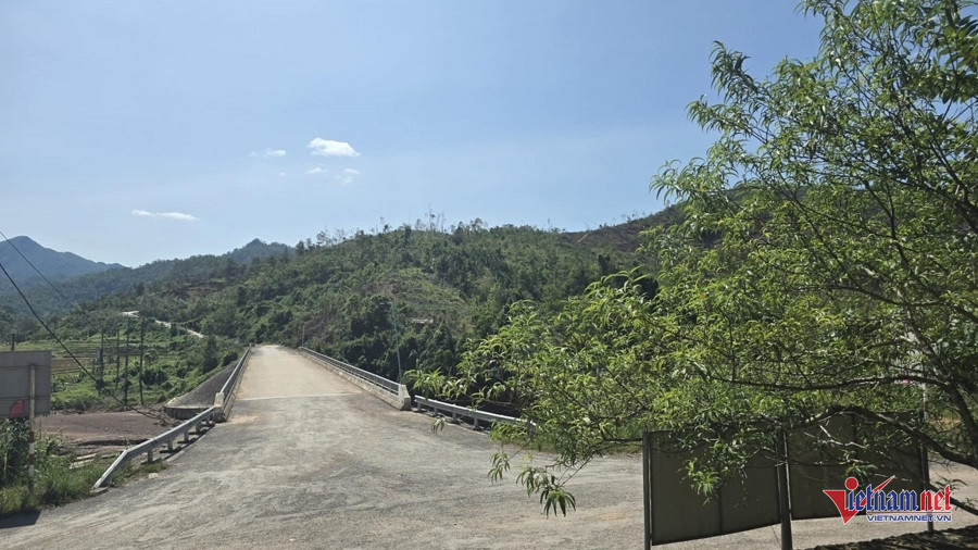 W-29f4c50b a046 4b60 b730 950a5e635dd2.jpg