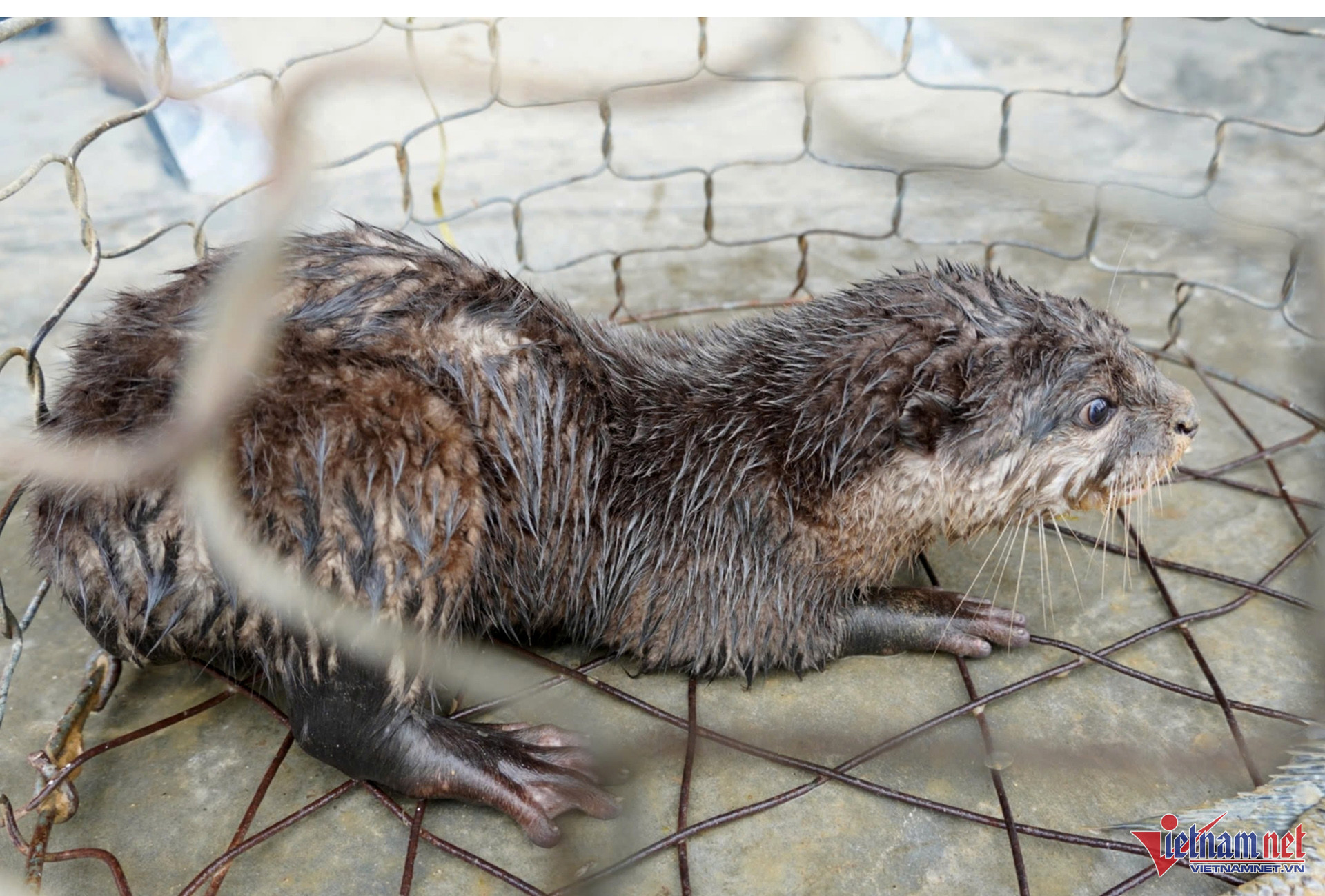 W-2ac584cb 9a33 4c8e a051 cbe6490f9fbe copy.jpg