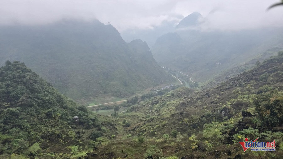 W-314c9635 d22a 4c03 8df1 9982e51625e8.jpg