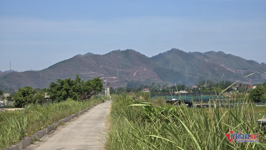 W-766569bc 61ce 499a 9167 3dec8b96a77d.jpg