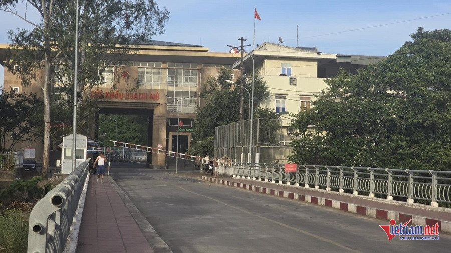 W-bd0aab40 f83d 4aa4 9a51 22cfc94fb37f.jpg