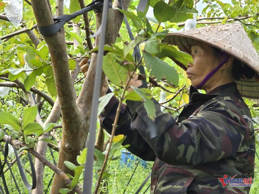 W-f60a138a ce63 4cd6 baff 224efcd0c033.jpg