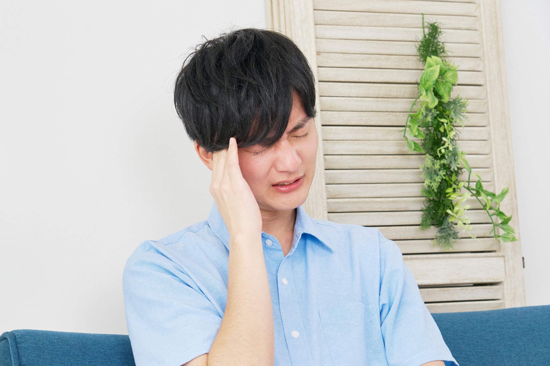 Anh 1(11)(1).jpg