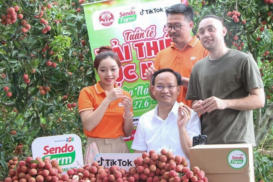 Phó Chủ tịch tỉnh livestream bán vải thiều: Tôi không có kỹ năng bán hàng online