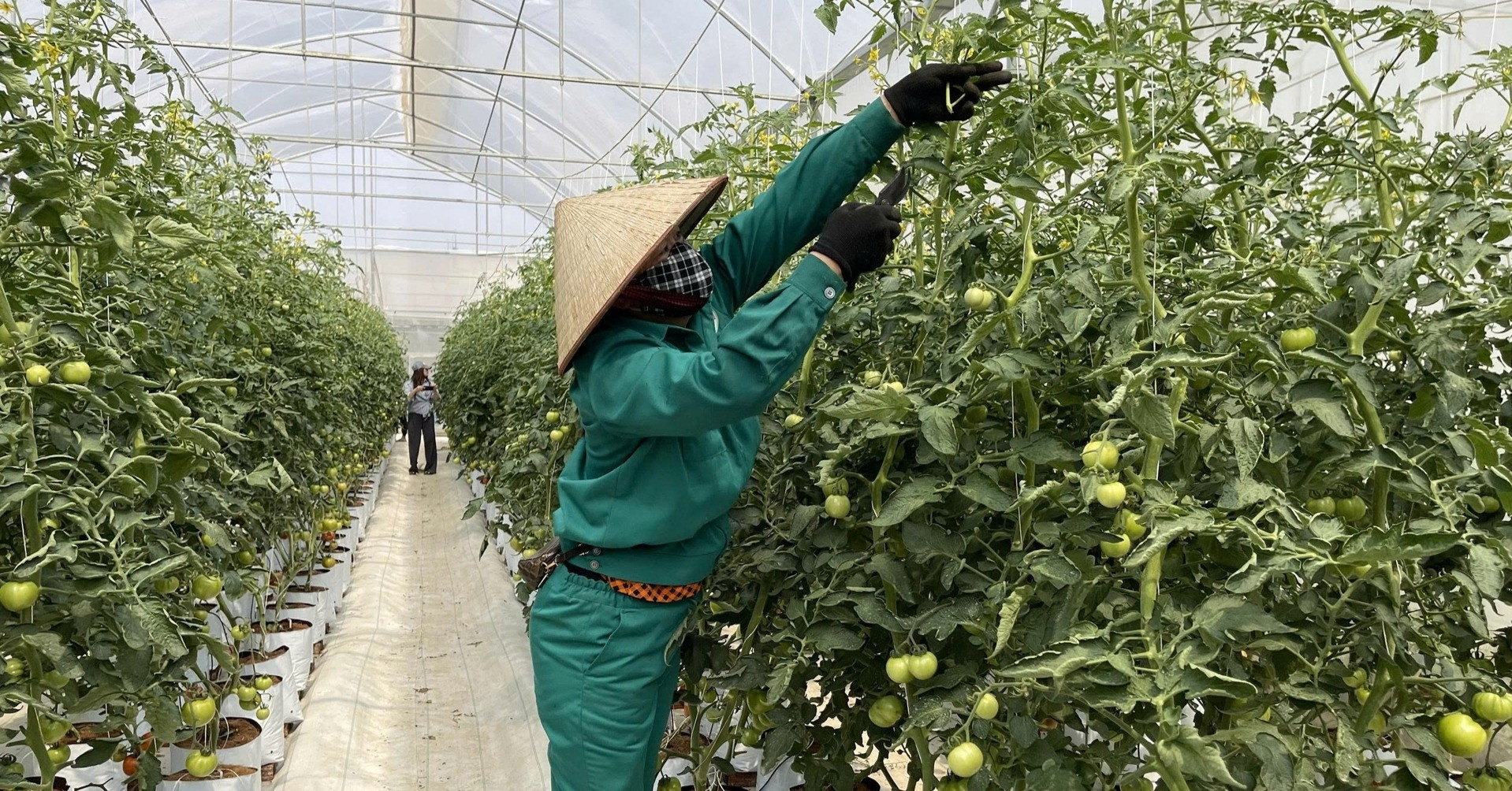 Thực hiện bằng được mục tiêu xây dựng nông nghiệp sinh thái, nông thôn hiện đại
