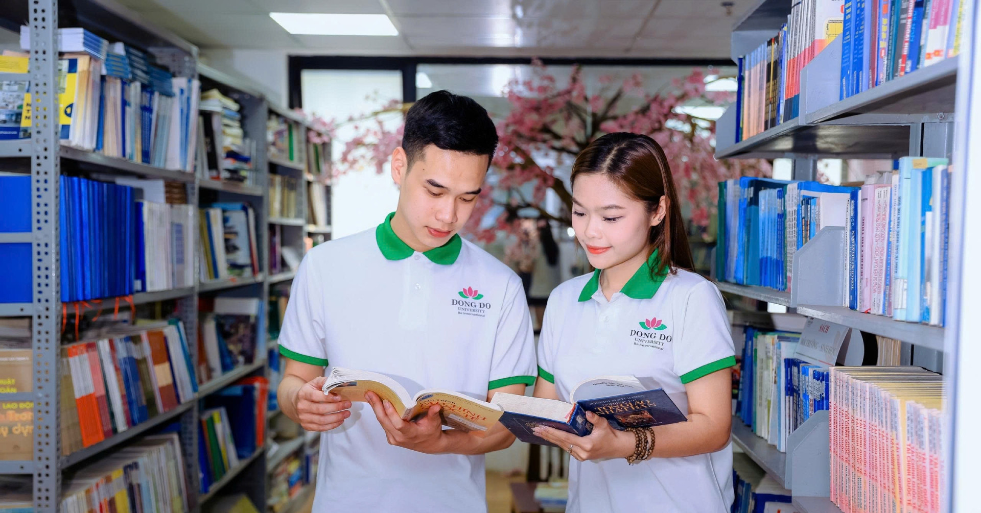 Trường Đại học Đông Đô thông báo tuyển sinh đại học chính quy 2025
