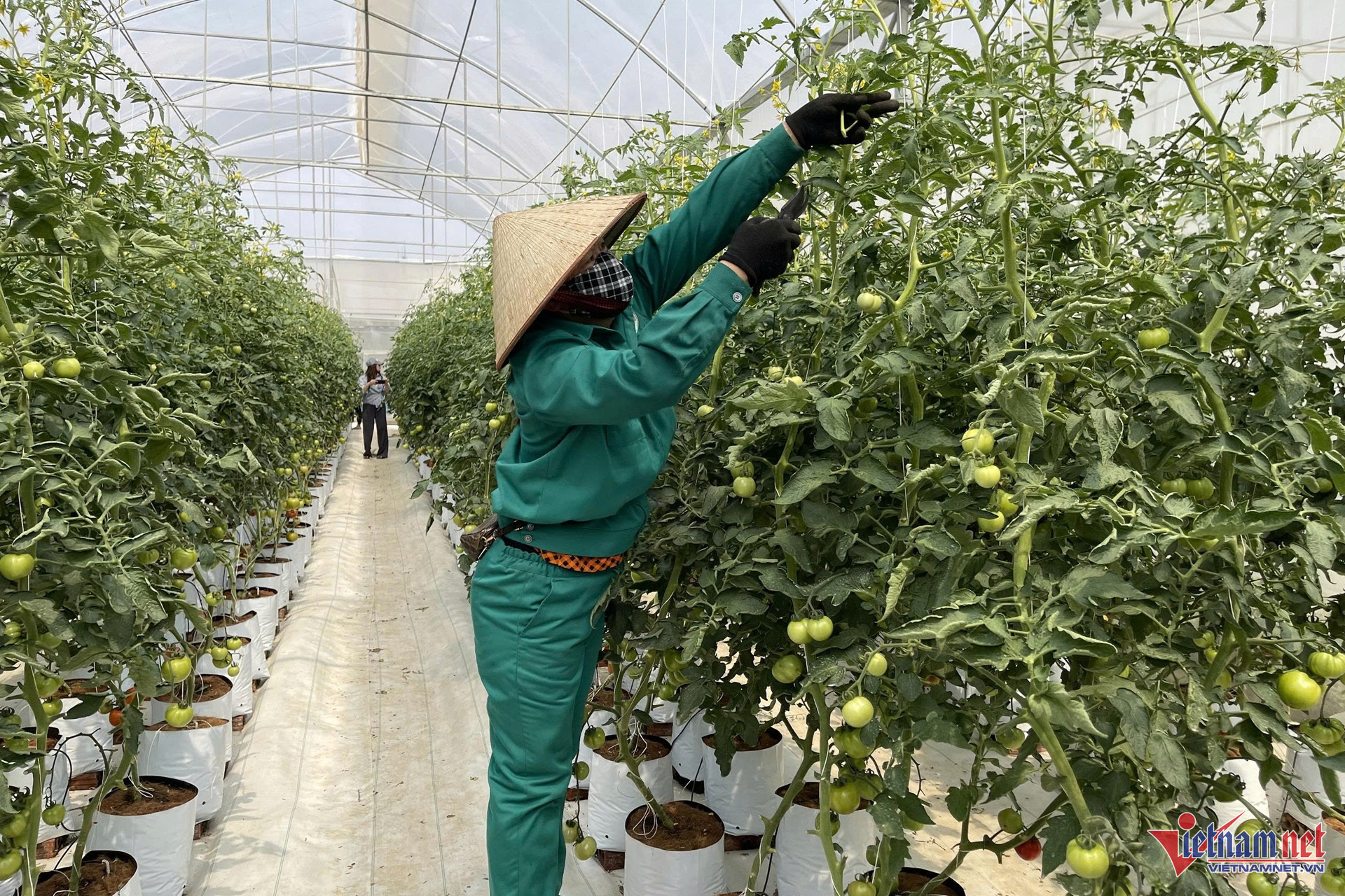 W-nong nghiep sinh thai 1.jpg