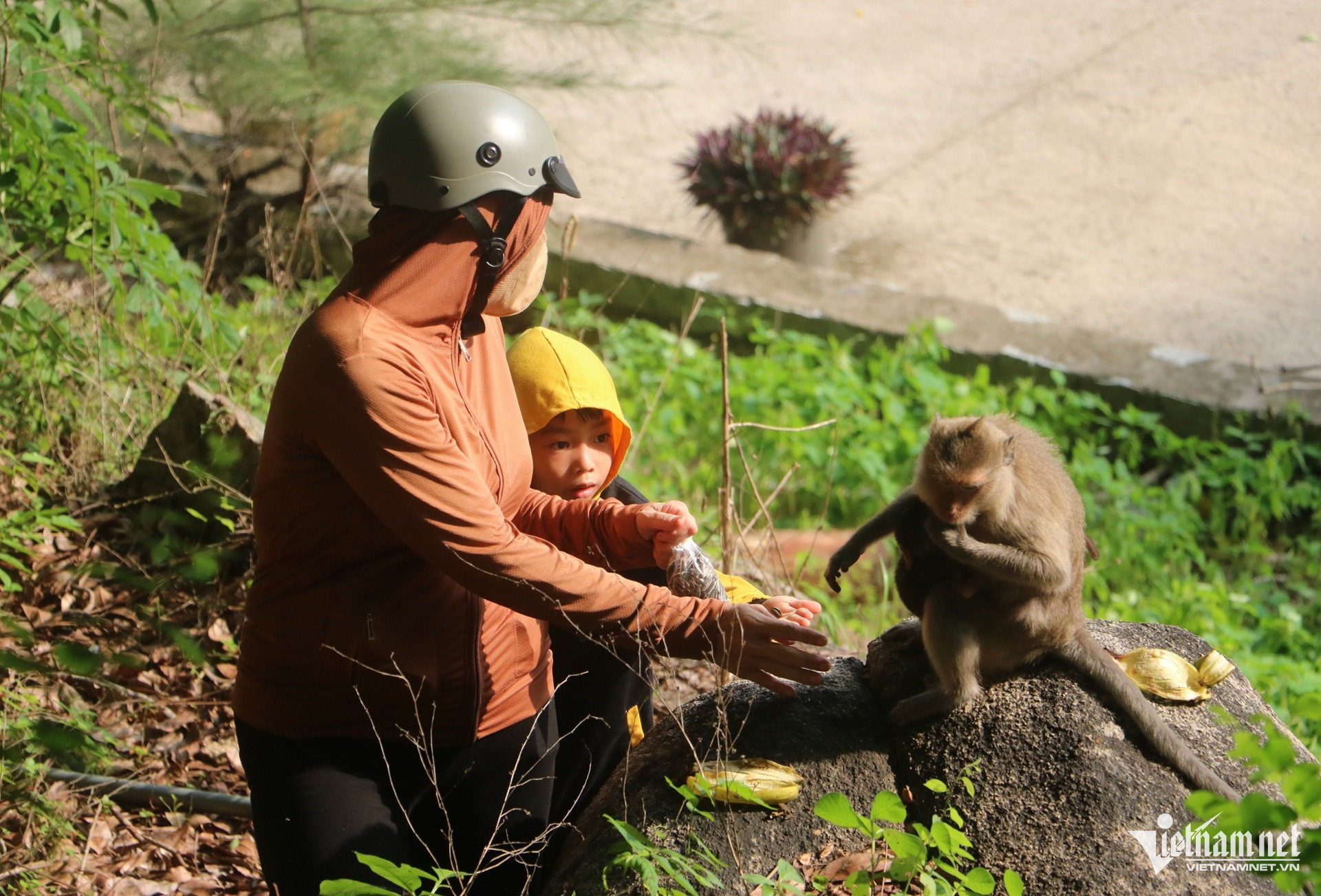 W-Thiền viện Trúc Lâm Chân Nguyên, chùa khỉ 5.JPG.jpg