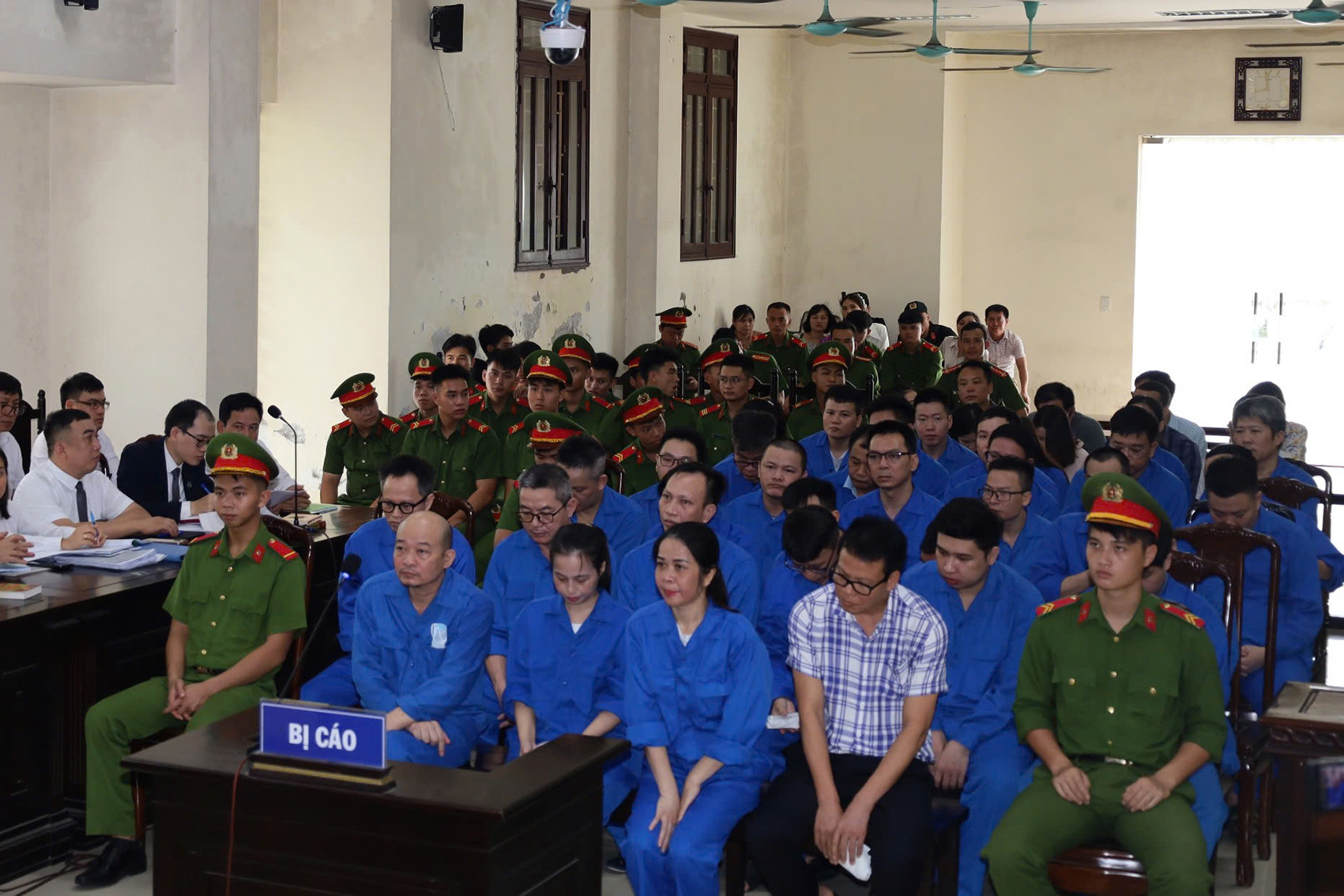 35eee38a b9db 45be a822 d933687ea69a.jpeg