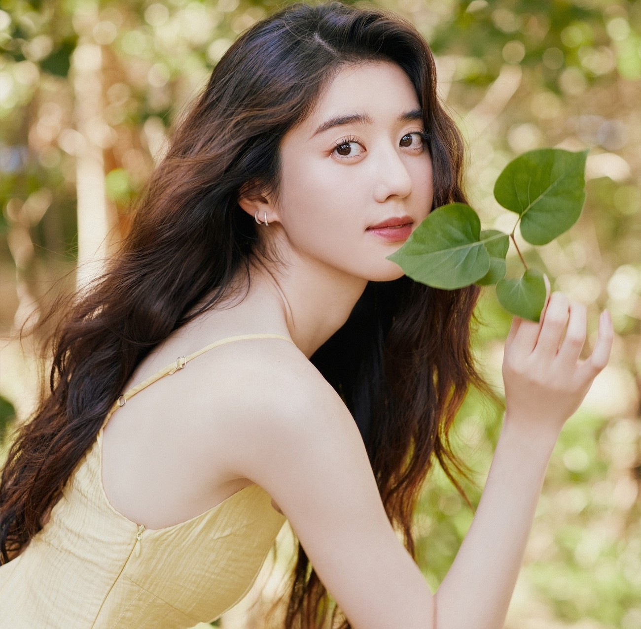 ly-khai-hinh1.jpg