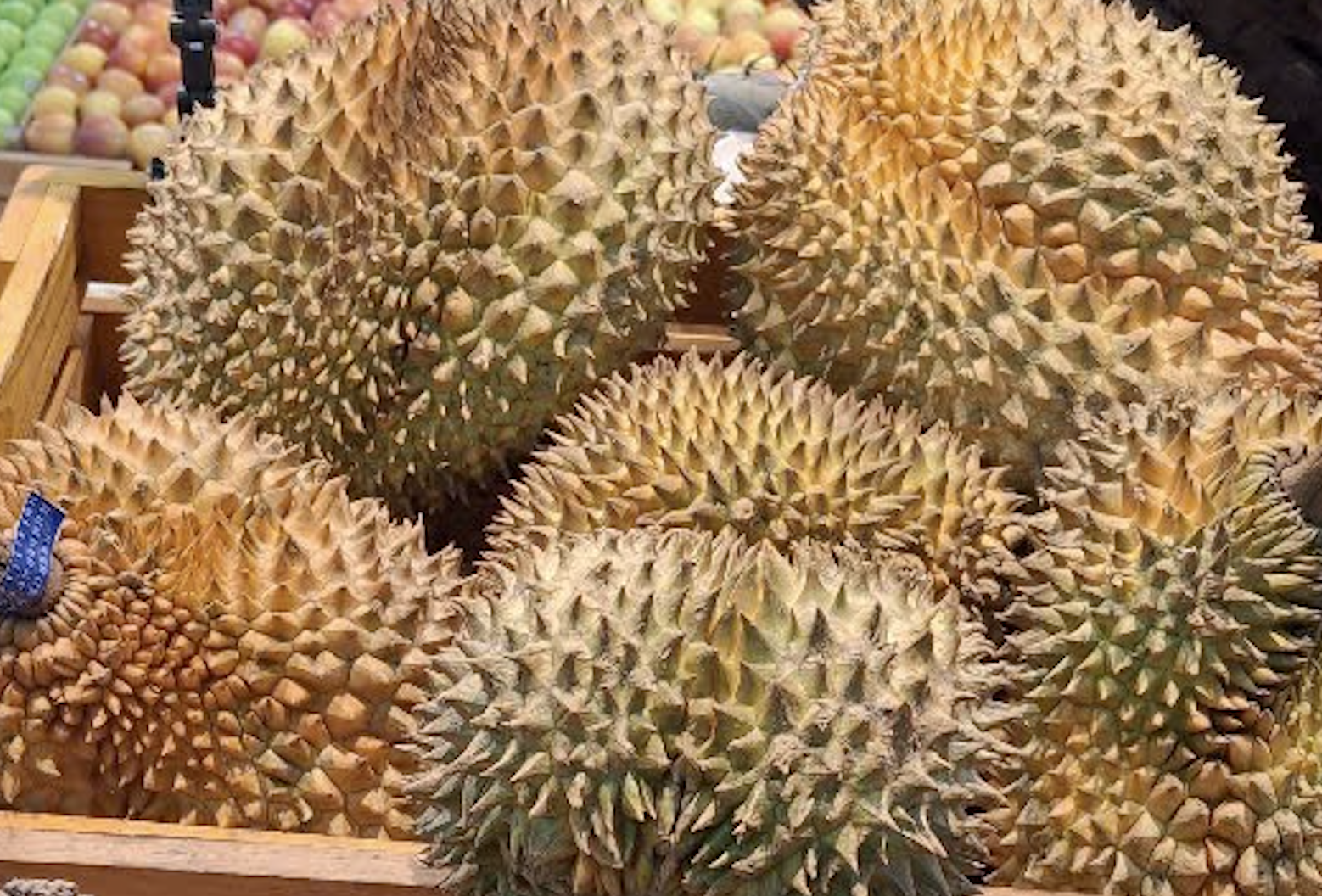 Sầu riêng Việt Nam nhận thêm tin vui từ Trung Quốc, ngược dòng ngoạn mục