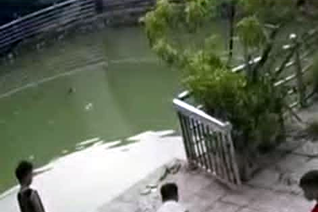 Bản tin chiều 31/7: Hai anh em ruột tử vong dưới giếng nước gần khu trọ ở Hà Nội