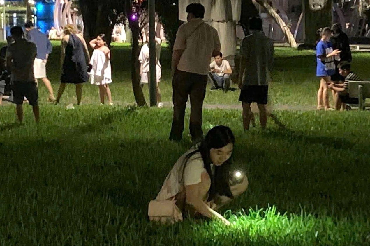Cặp vợ chồng rơi nhẫn kim cương, người dân soi đèn, vạch cỏ tìm giúp trong đêm