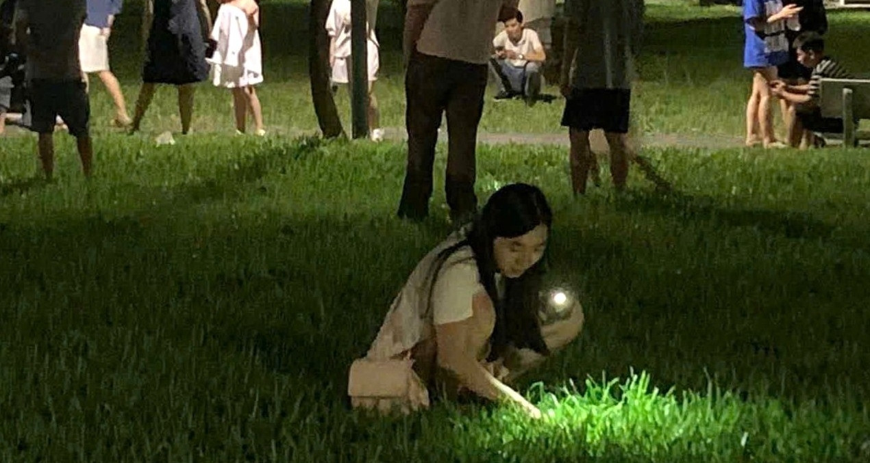 Cặp vợ chồng rơi nhẫn kim cương, người dân soi đèn, vạch cỏ tìm giúp trong đêm