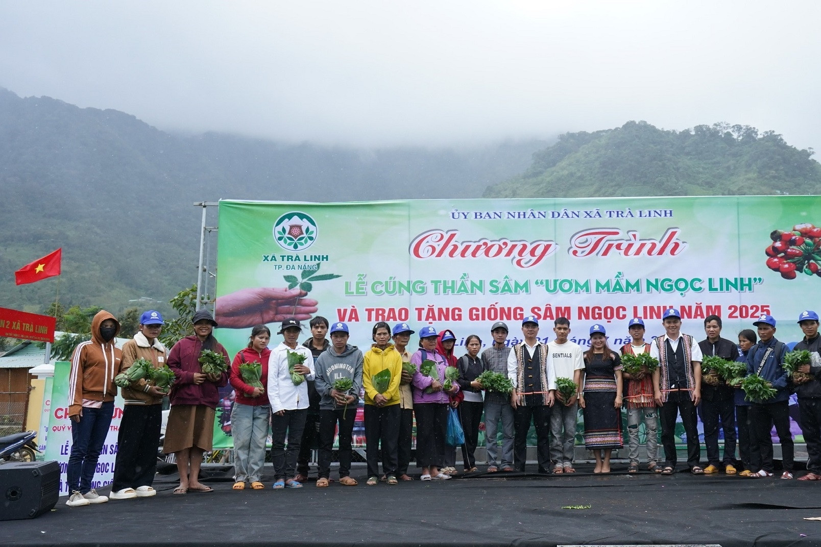 Tặng 7.000 cây sâm Ngọc Linh giống cho hộ nghèo ở Đà Nẵng