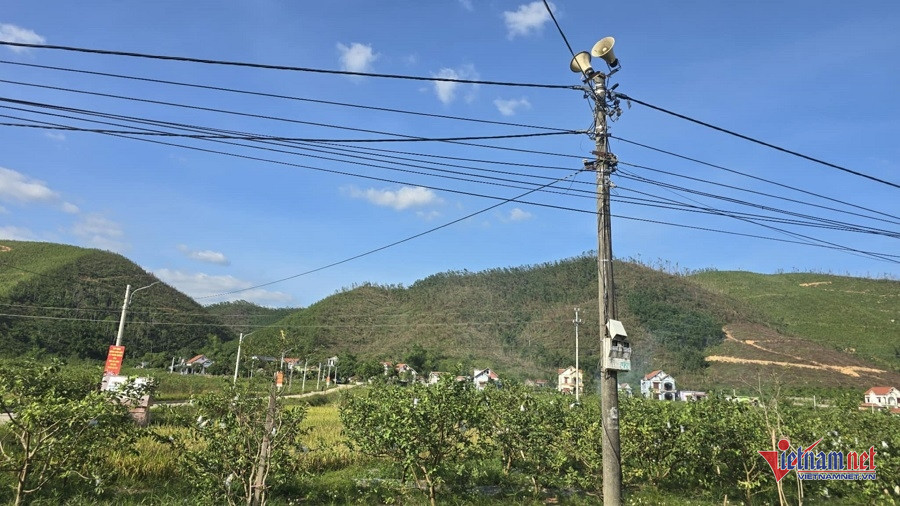 W-98e893ff cf6e 4384 8666 0f930c2ea5e1.jpg