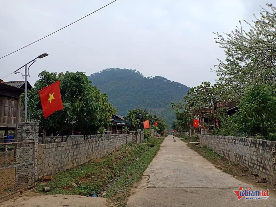 W-banphay.jpg