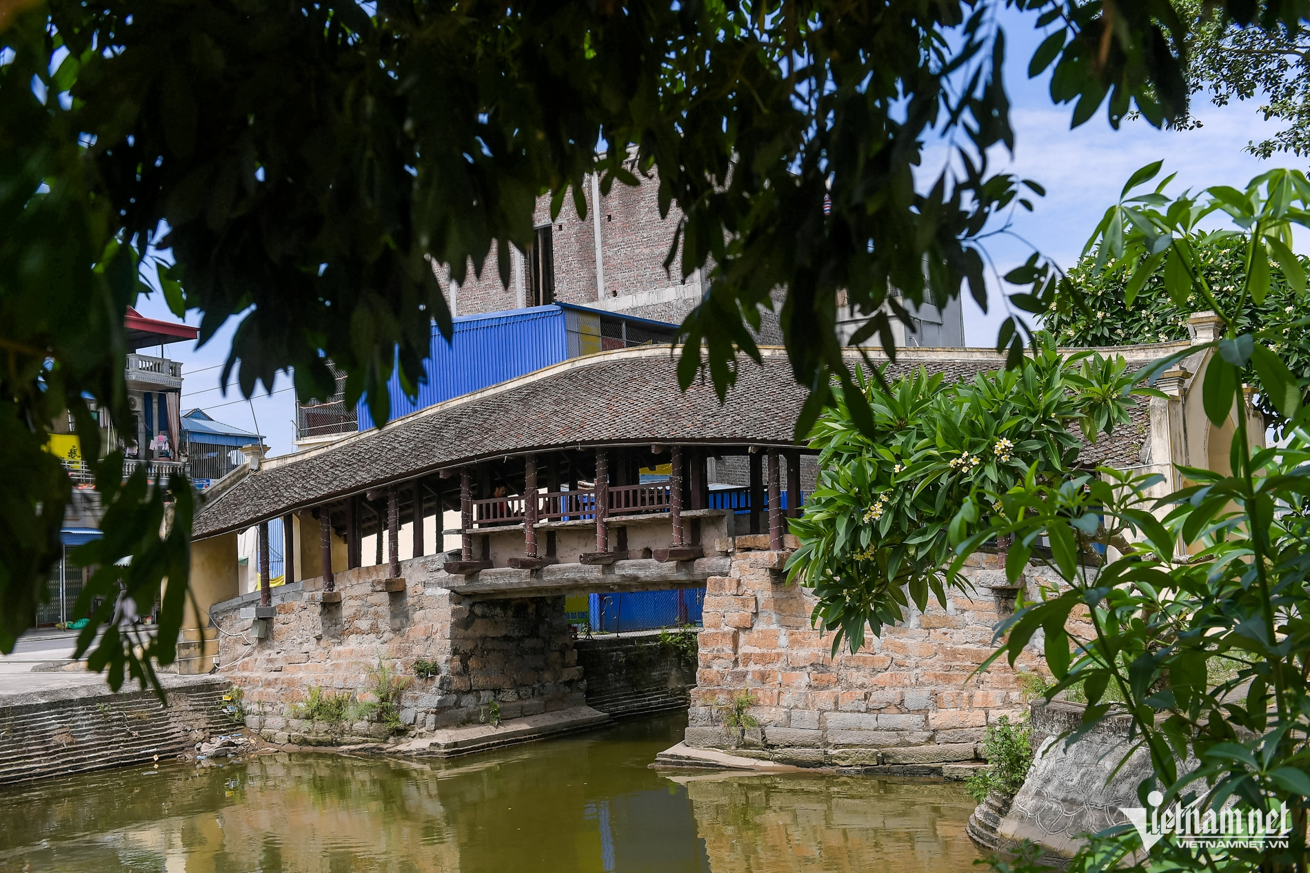 W-Cầu ngói_7.jpg
