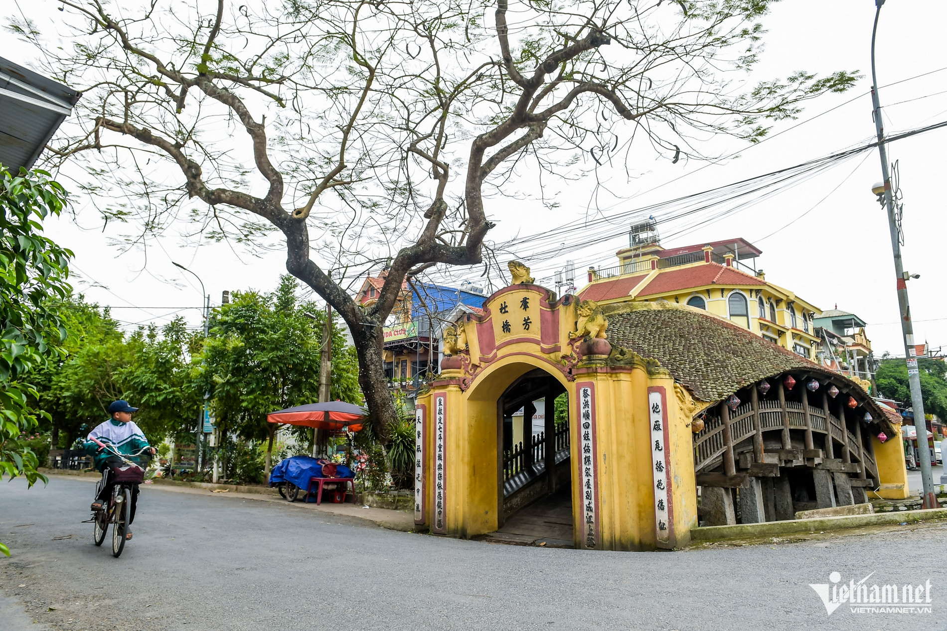 W-Cầu ngói_8.jpg
