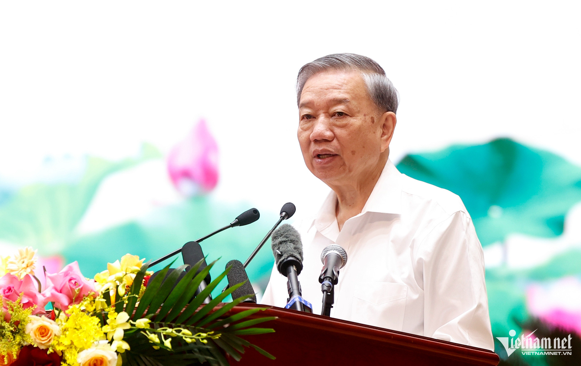 W-HAI_1234.jpg