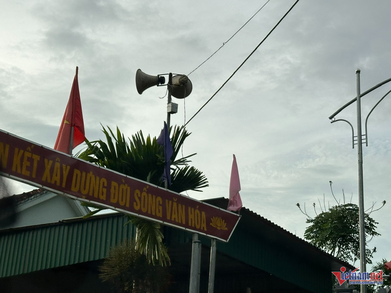 W-thai binh.jpg