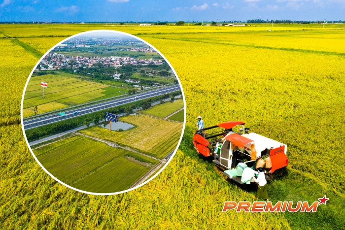 Kéo dài thời hạn miễn thuế sử dụng đất nông nghiệp đến hết ngày 31/12/2030