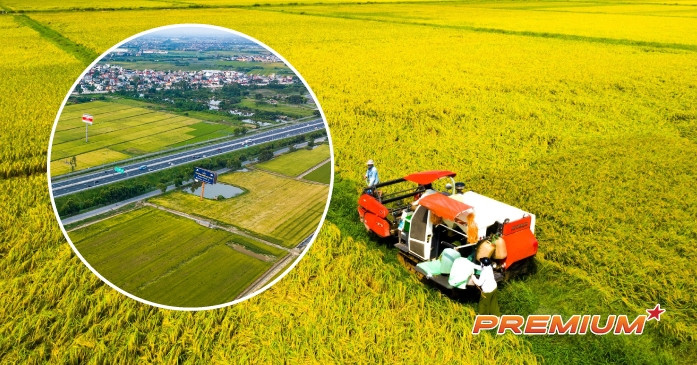 Kéo dài thời hạn miễn thuế sử dụng đất nông nghiệp đến hết ngày 31/12/2030