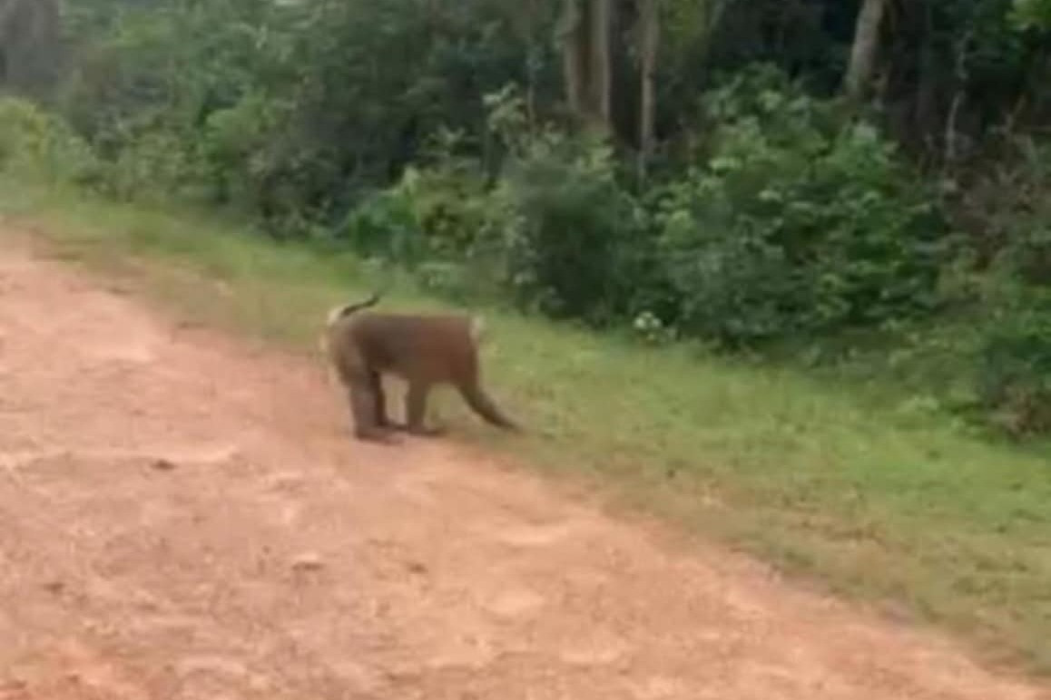 4ff944c7 f7fe 4fd8 b01e debe41f53f6f.jpeg