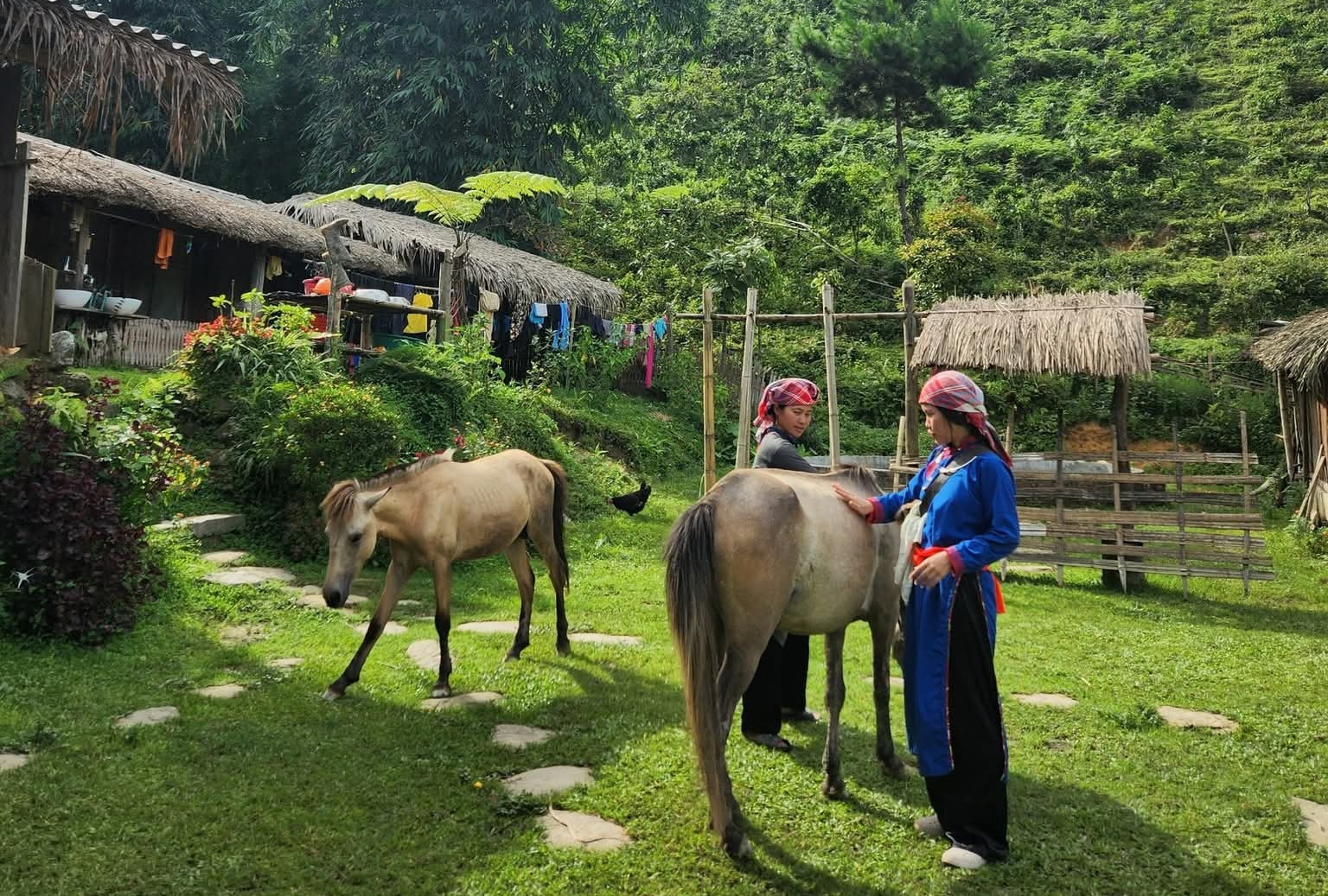 Bản Liền xanh mướt ở Lào Cai gây sốt, nhiều homestay kín lịch đặt phòng