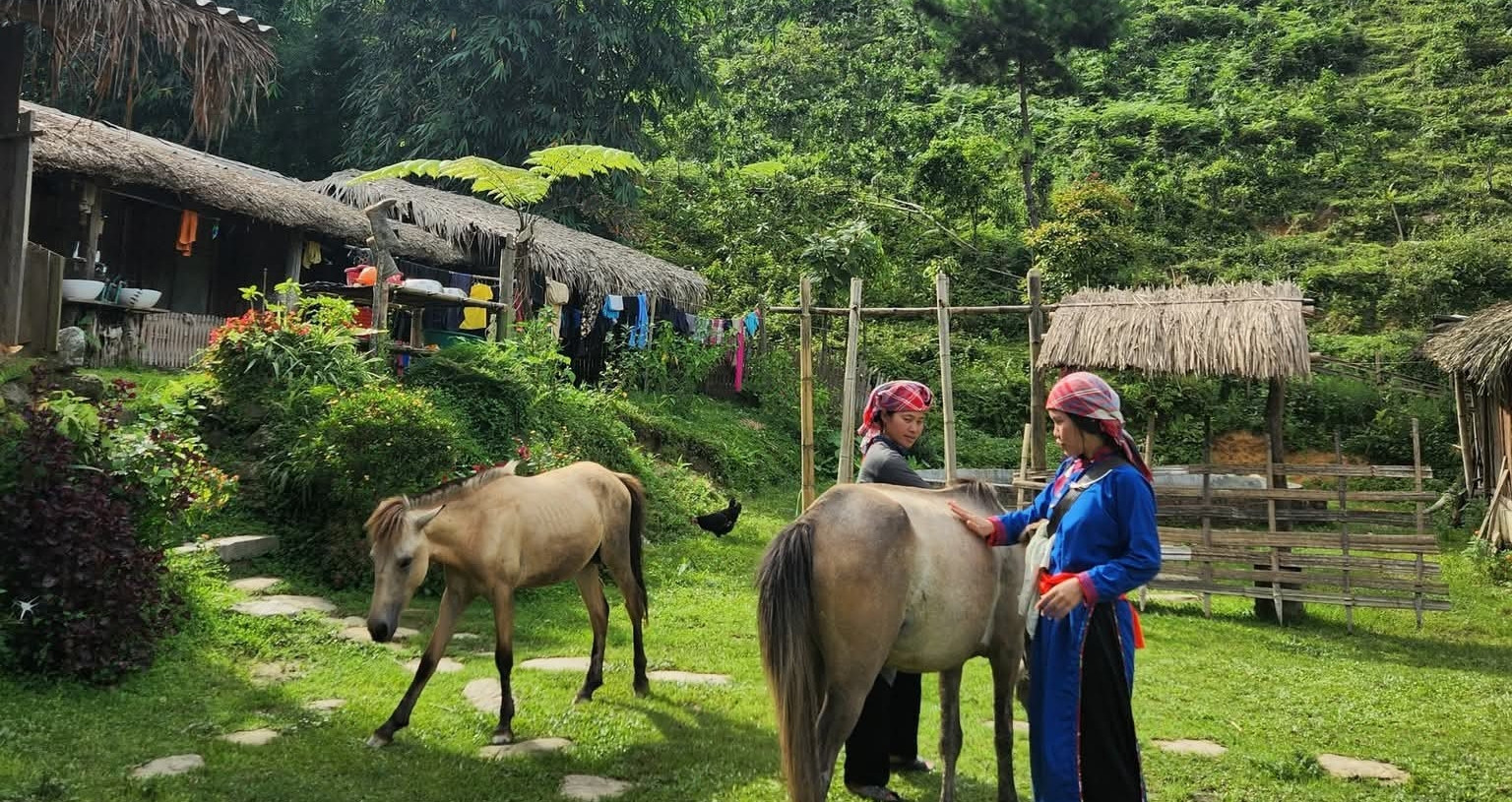 Bản Liền xanh mướt ở Lào Cai gây sốt, nhiều homestay kín lịch đặt phòng