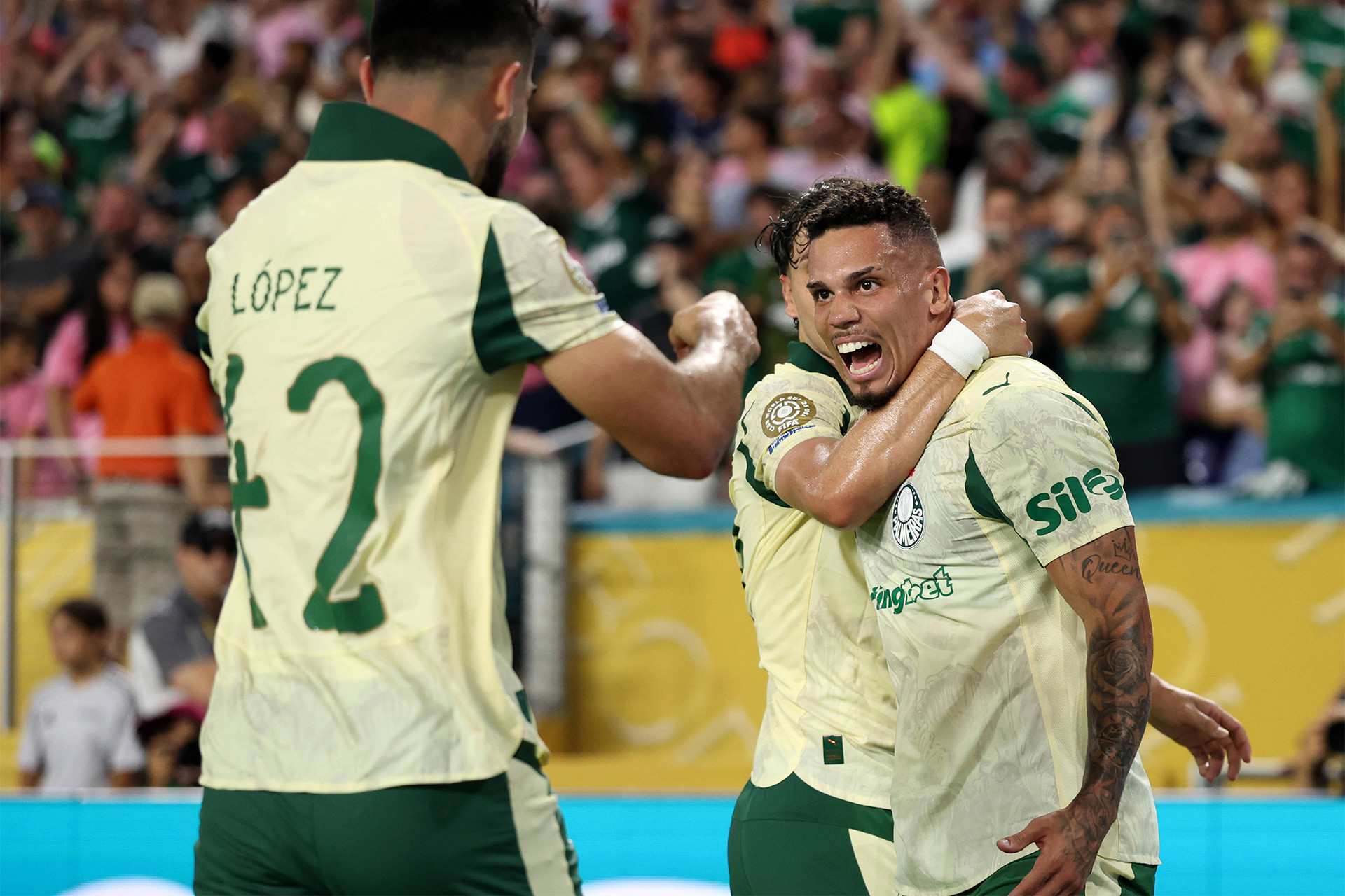 Imago - Palmeiras.jpg