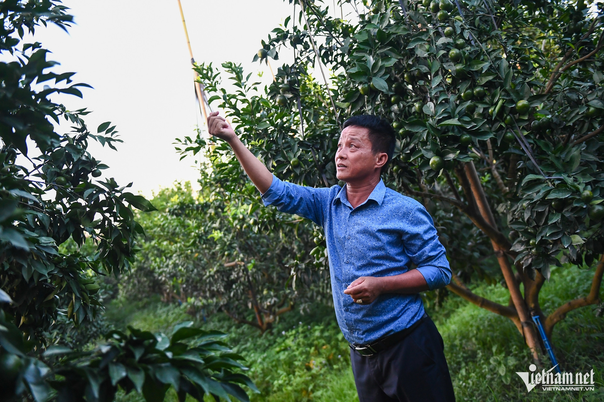 W-DTTG 1719 Bac Giang 20.jpg