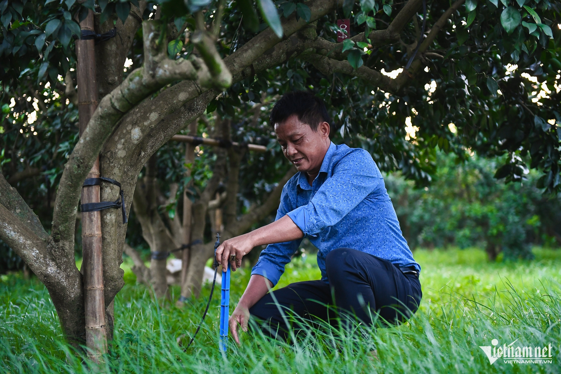 W-DTTG 1719 Bac Giang 21.jpg