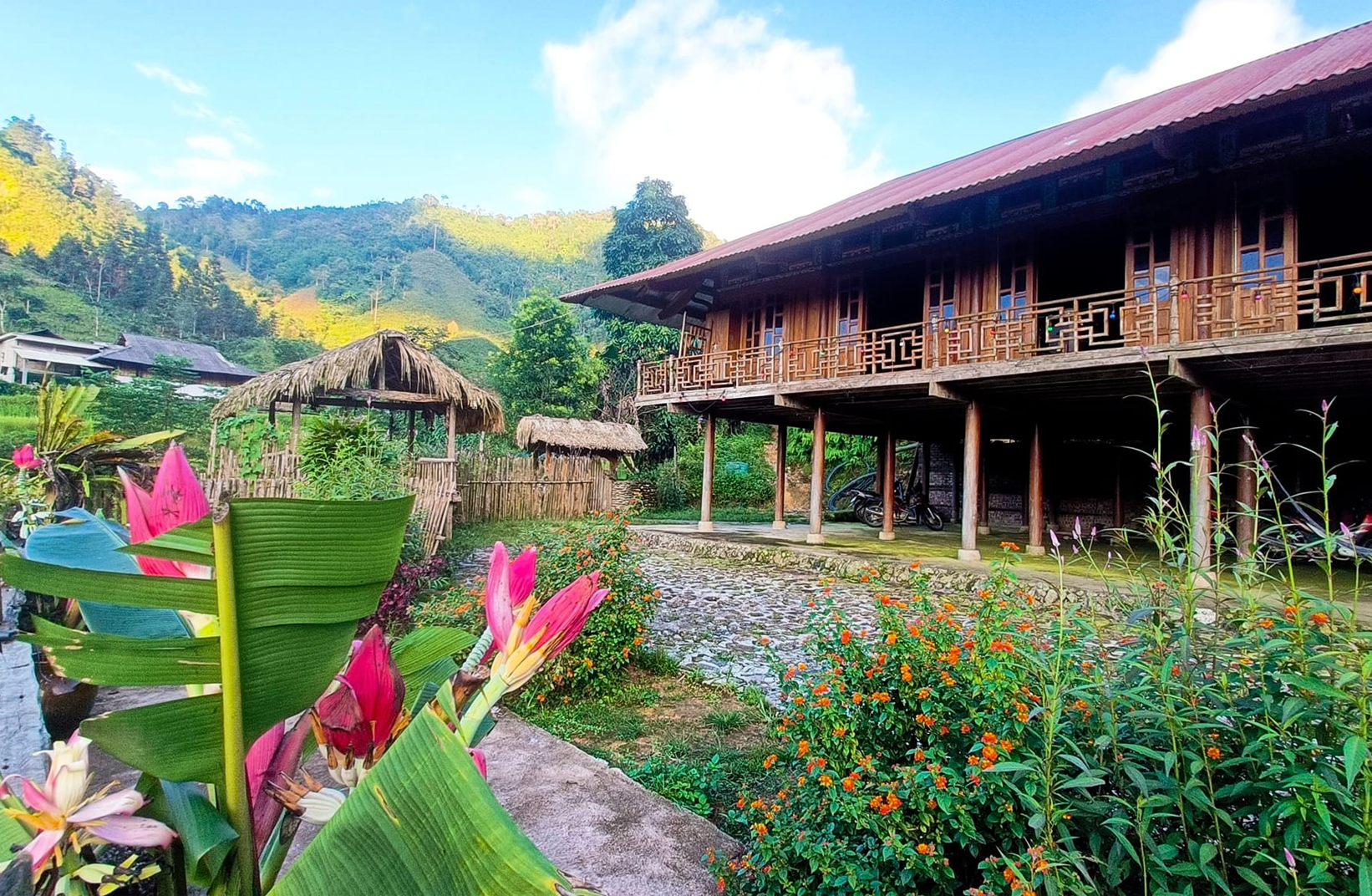 Bản tin sáng 5/7: Bản Liền ở Lào Cai gây sốt, nhiều homestay kín lịch đặt phòng