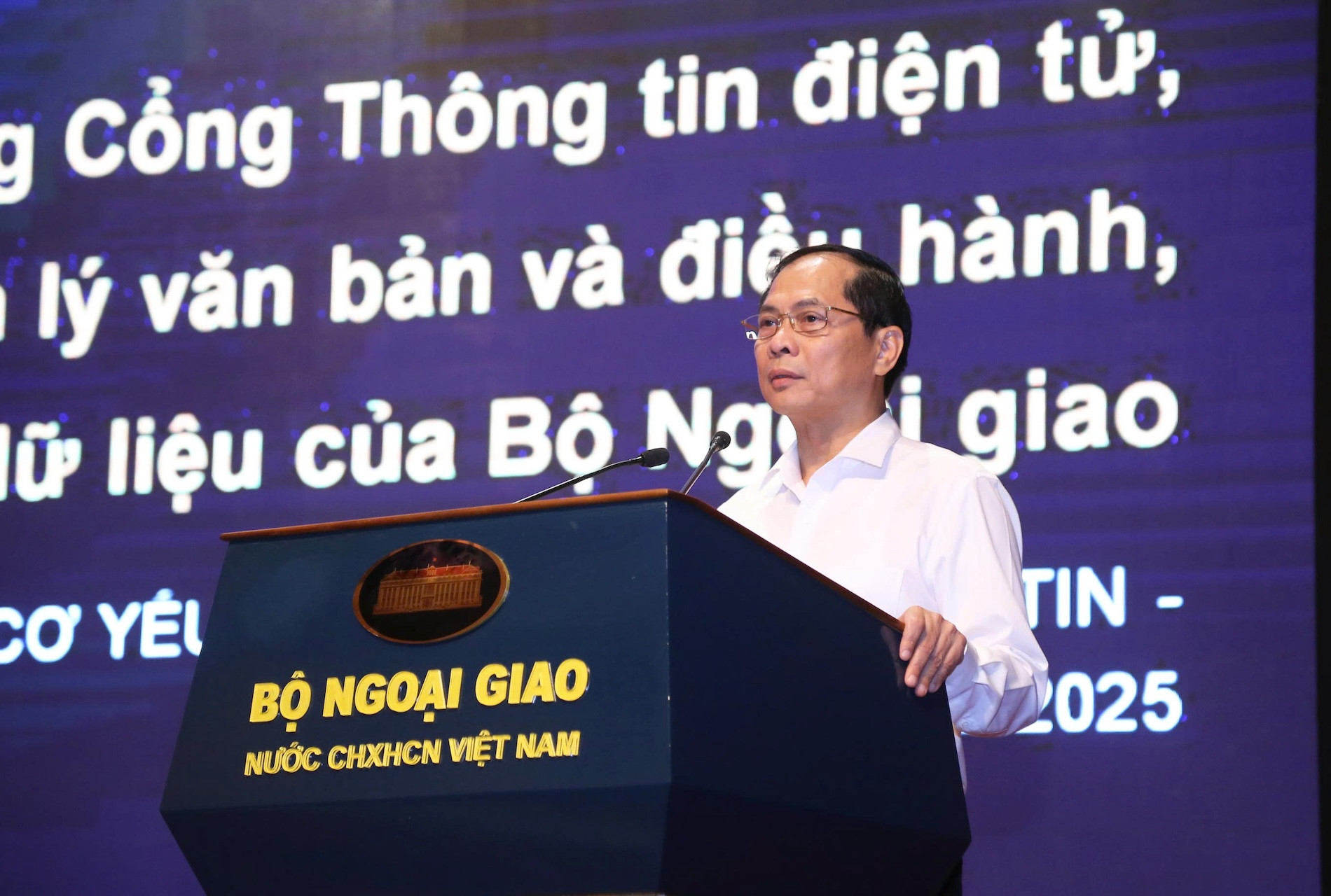 Phó Thủ tướng, Bộ trưởng Bộ Ngoại giao Việt Nam ông Bùi Thanh Sơn phát biểu tại buổi lễ.jpg