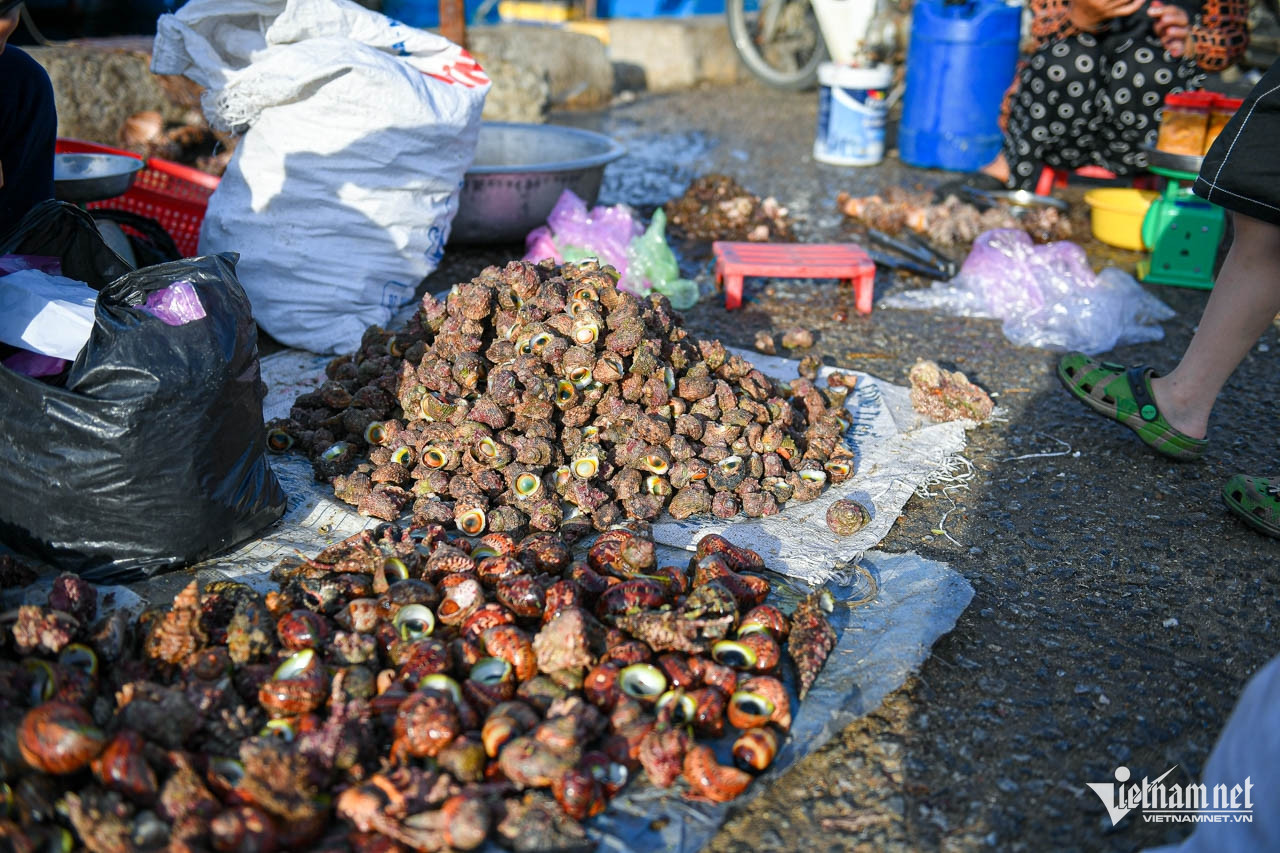 W-mit mia ls 62 (1).jpg