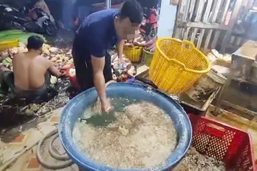 Cảnh sát ập vào bất ngờ, phát hiện 3 cơ sở ngâm hoa chuối với chất tẩy trắng, hàn the